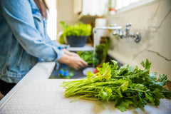 Preventing Garbage Disposal Clogs with Simple Tricks